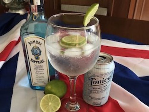 Gin and Tonic Gin and Tonic